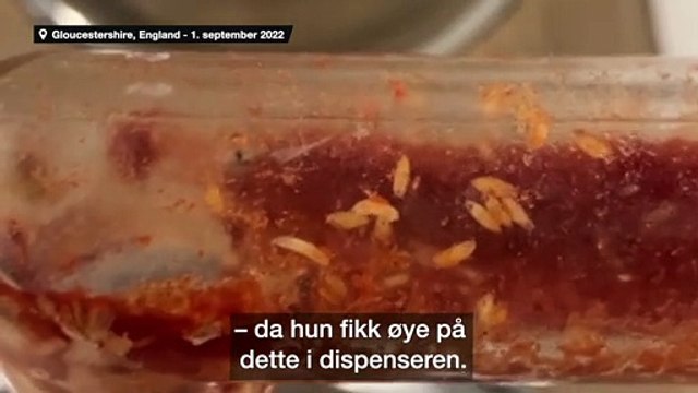 Mulher encontra larvas em dispensador de molho no McDonald's. A britânica fez um apelo nas redes sociais depois da situação insólita.