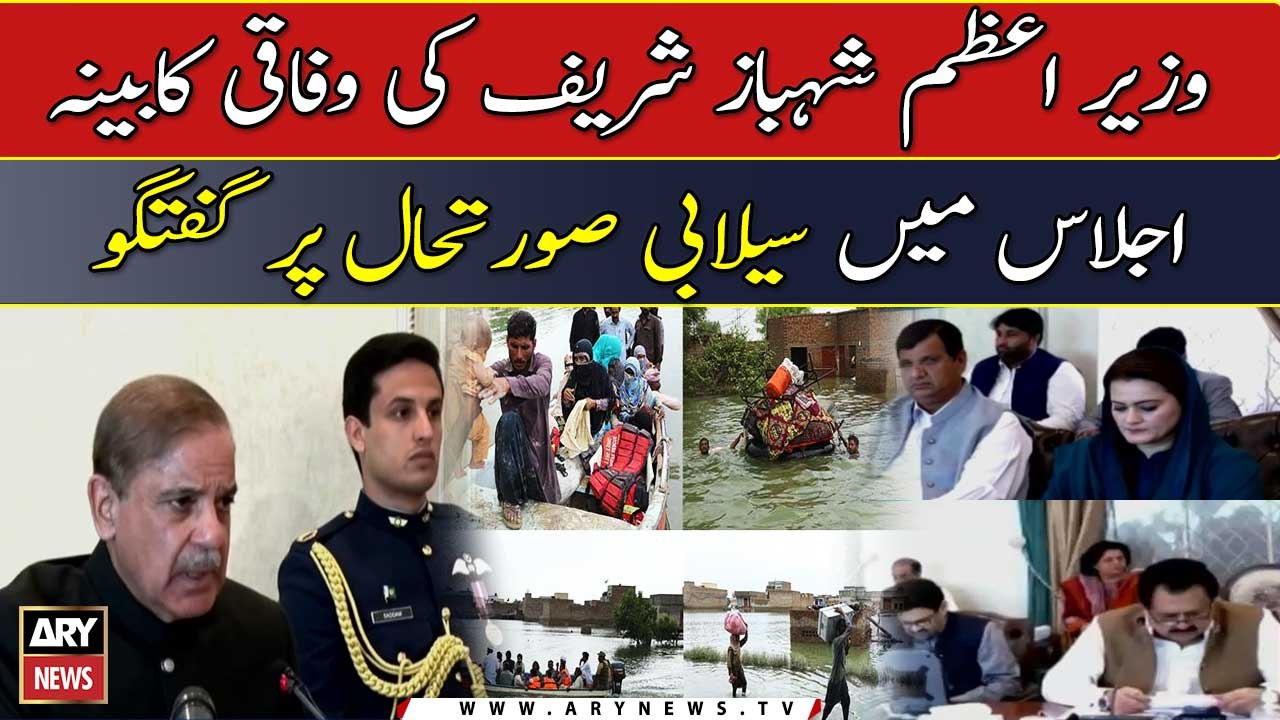 PM Shehbaz Sharif says need to recall spirit of 1965 while braving floods