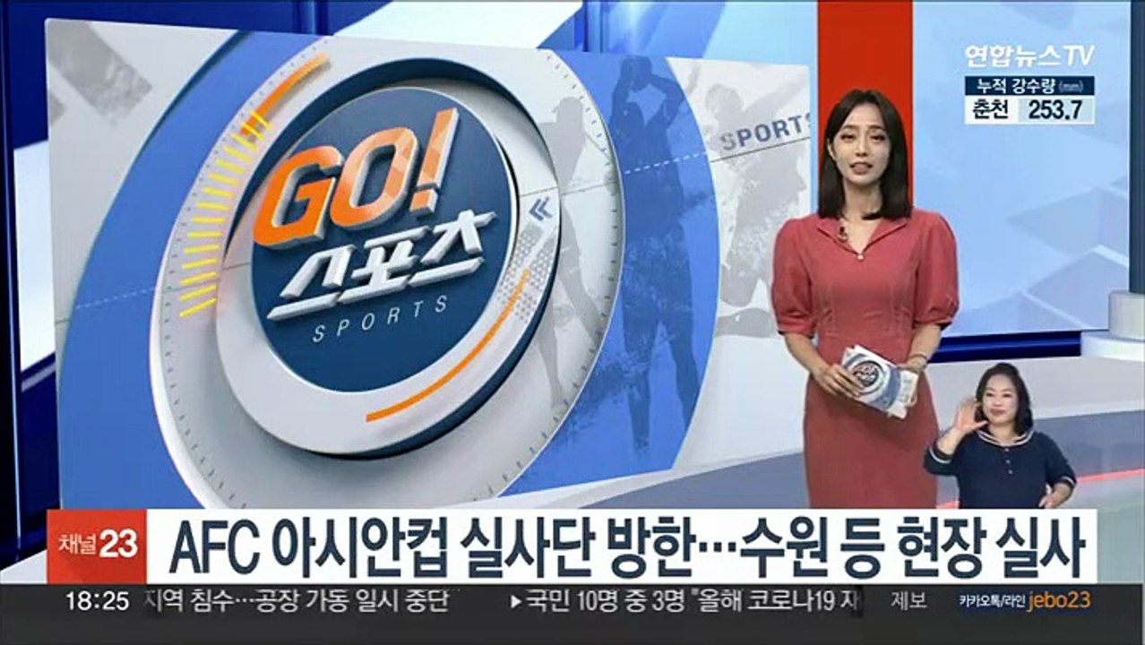 AFC 아시안컵 실사단 방한…수원 등 현장 실사