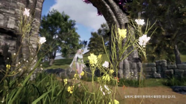 Neues MMORPG aus Korea zeigt ersten Trailer - Bietet wunderschöne Grafik, aber hat einen Haken