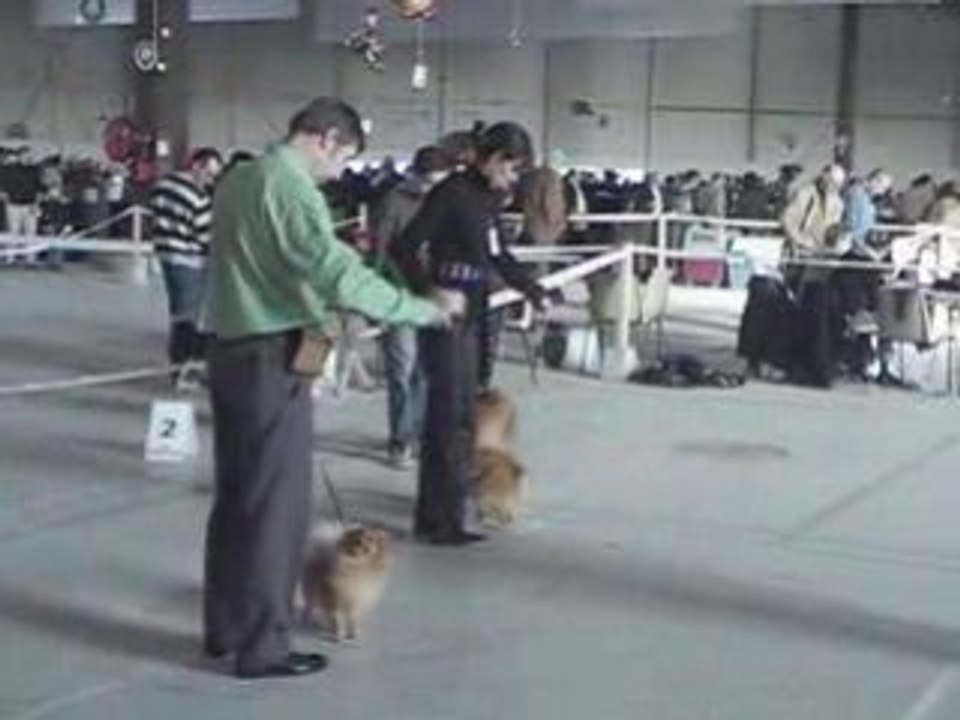 MOV027 forum (3)