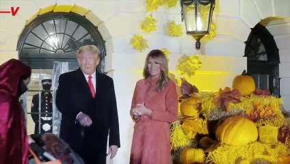 Donald Trump Once Tried To Pay Off $2 Million In Lawyers' Fees With A Horse