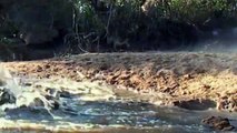 Standing Between Death And Life, Wildebeest Bravely Attacked Cheetah And Crocodiles To Escape Death