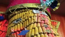 Lord Ganesh Idol Made With Corn Cobs | V6 News
