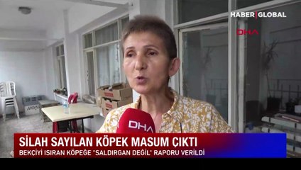 Bekçiyi ısırınca barınakta tutulan köpek, 'saldırgan değil' raporuyla özgür