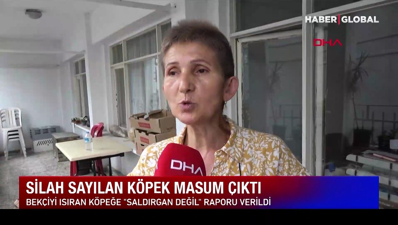 Bekçiyi ısırınca barınakta tutulan köpek, 'saldırgan değil' raporuyla özgür