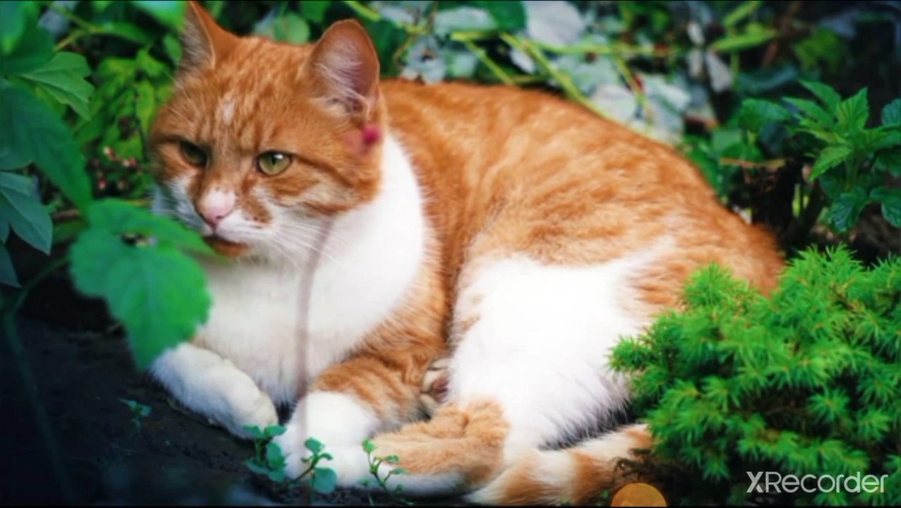 نقي قلبك الإنسان أدرك الزمن