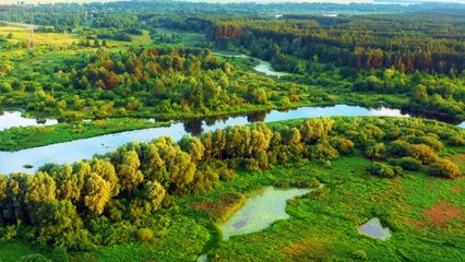 Tour Through the Planet Earth - Best Places and Animals Relaxing Music