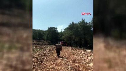 Düşen yıldırım 2 hektar ormanı kül etti