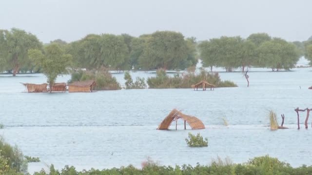 Enfermedades infecciosas como la gastronteritis se extienden por Pakistán
