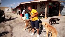 شاهد: الجدل حول الكلاب الشاردة في تركيا يعود إلى الواجهة مجددا