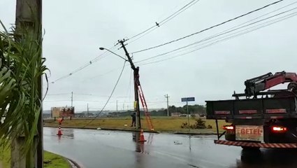 Equipes da Copel realizam substituição de postes na Avenida Guaíra