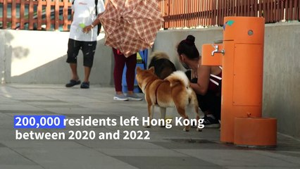 Ruff deal: Hong Kong exodus sparks surge in abandoned pets