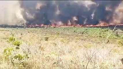 Fire erupts in Brasilia National Park