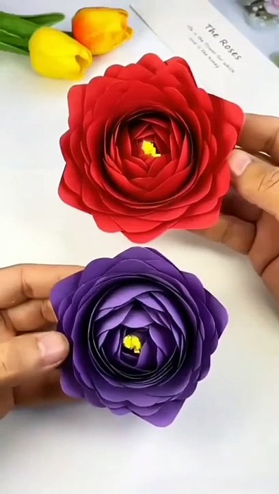 Rose ️ by paper