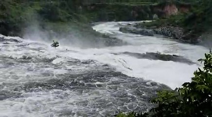 পুজোর আগে মুকুটমণিপুরে পর্যটকের ভিড়ে খুশি হোটেল মালিকরা | Oneindia Bengali