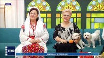 Gheorghita Nicolae - Cate pasari codrul are (Matinali si populari - ETNO TV - 01.07.2022)