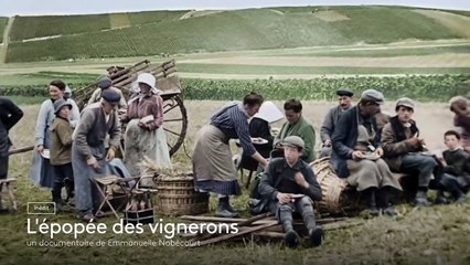 L'épopée des vignerons - 7 septembre