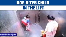 Ghaziabad -pet dog bites child in the lift | video goes viral | Oneindia news *news
