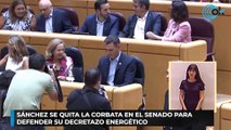 Sánchez se quita la corbata en el Senado para defender su decretazo energético