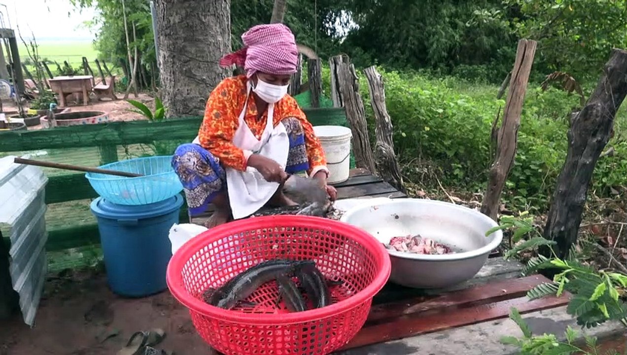 Cambodge : des repas gratuits à l'école contre la malnutrition infantile