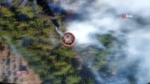 İzmir'de orman yangını: Havadan ve karadan müdahale sürüyor