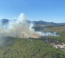İzmir haber | İzmir'de Orman Yangını