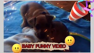 Baby | funny baby