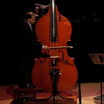 L’octobasse, le plus grand et le plus grave des instruments à cordes