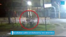 Así robaban cables en Etcheverry, tres detenidos