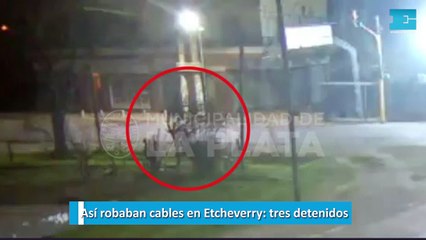 Así robaban cables en Etcheverry, tres detenidos