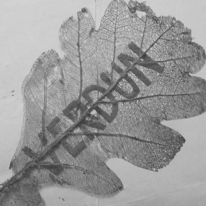 Première Guerre mondiale : ces feuilles artistiques sculptées par les Poilus dans les tranchées