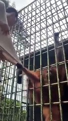 আরো কাছে এসো!