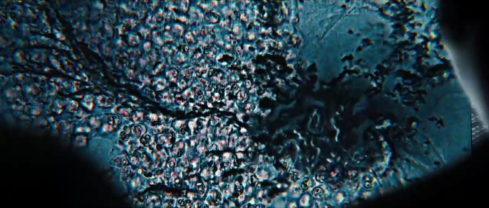 Le Labyrinthe : La Terre Brûlée Bande-annonce (TR)