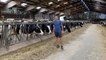 L'audit Boviwell chez Thierry Bertot, éleveur laitier (27)