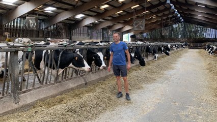 L'audit Boviwell chez Thierry Bertot, éleveur laitier (27)