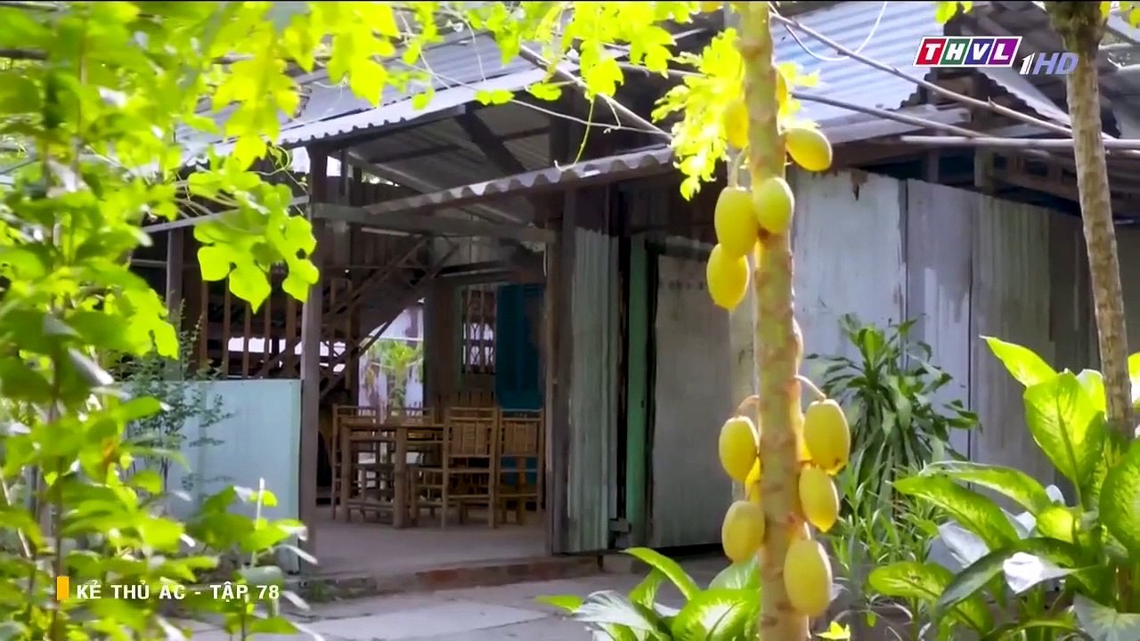 Kẻ thủ ác tập 78 - phim Viet Nam THVL1 - phim ke thu ac tap 79