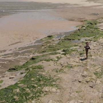 Ces six amis jouent Amazing Grace à Omaha beach en tenue d'époque pour rendre hommage aux héros du D-Day