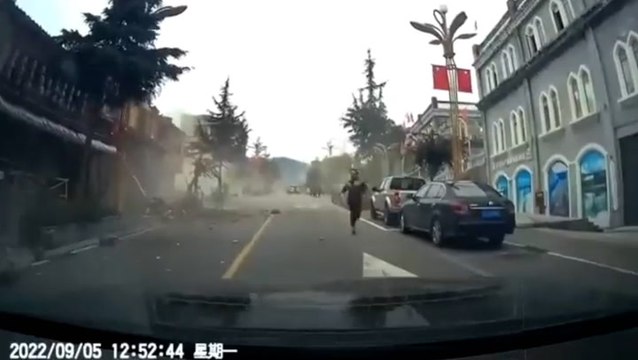 Dozens killed by earthquake in southwestern China