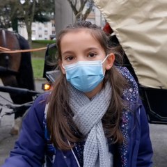 À Saint-Lô, les enfants peuvent aller à l'école en calèche