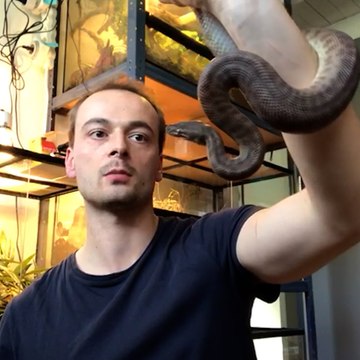 Passionné de reptiles et d’araignées, Johann vous explique comment ne plus les craindre