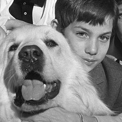 Mimi-Siku, Priscilla, Sébastien... que sont devenus ces enfants stars ?