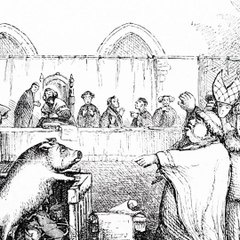 Au Moyen Âge, les animaux étaient des justiciables comme les autres