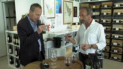 Vin : Saint-Emilion, le classement de la discorde