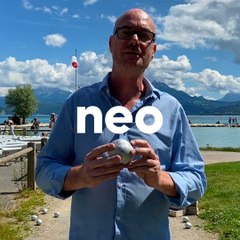 Le jeu de la mollette : la pétanque qui rend fou