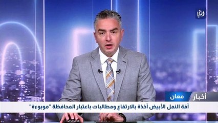 آفة النمل الأبيض آخذة بالارتفاع ومطالبات باعتبار معان "موبوءة"