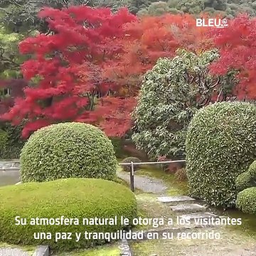 Jardínes Botánicos tour virtual