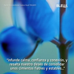 Classic Blue de Pantone - Bleu&Blanc