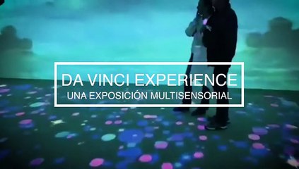 Da Vinci Experience - Bleu&Blanc