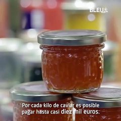 Caviar Mitos y Realidades - Bleu&Blanc